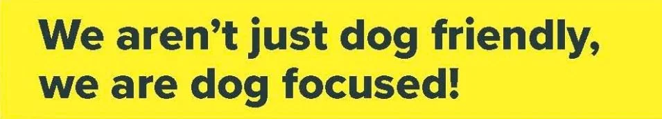 Text graphic on yellow background reading We aren't just dog friendly, we are dog focused!