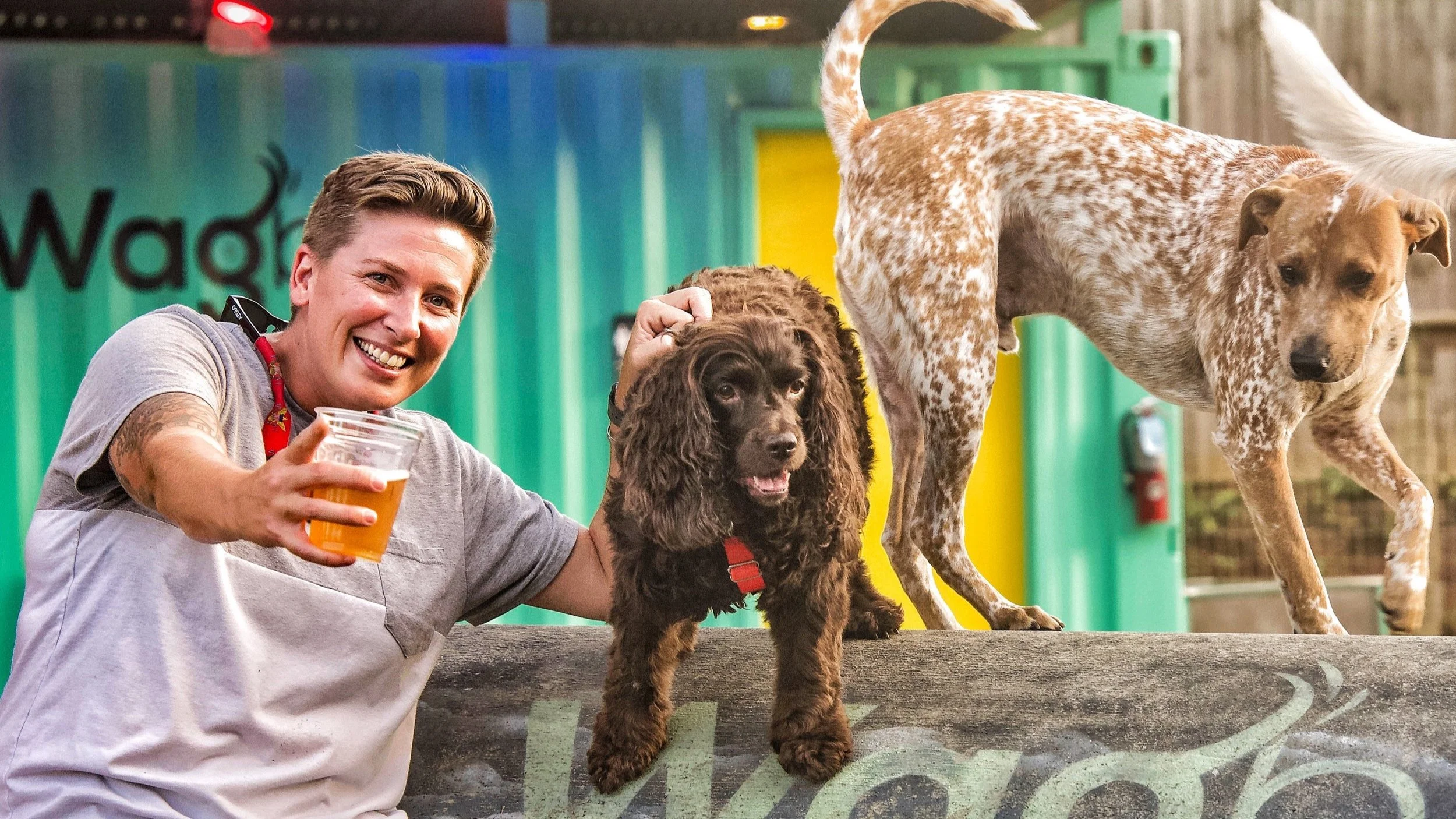 Smiling woman holding a beer cup beside a brown cocker spaniel and a spotted dog on a concrete ledge