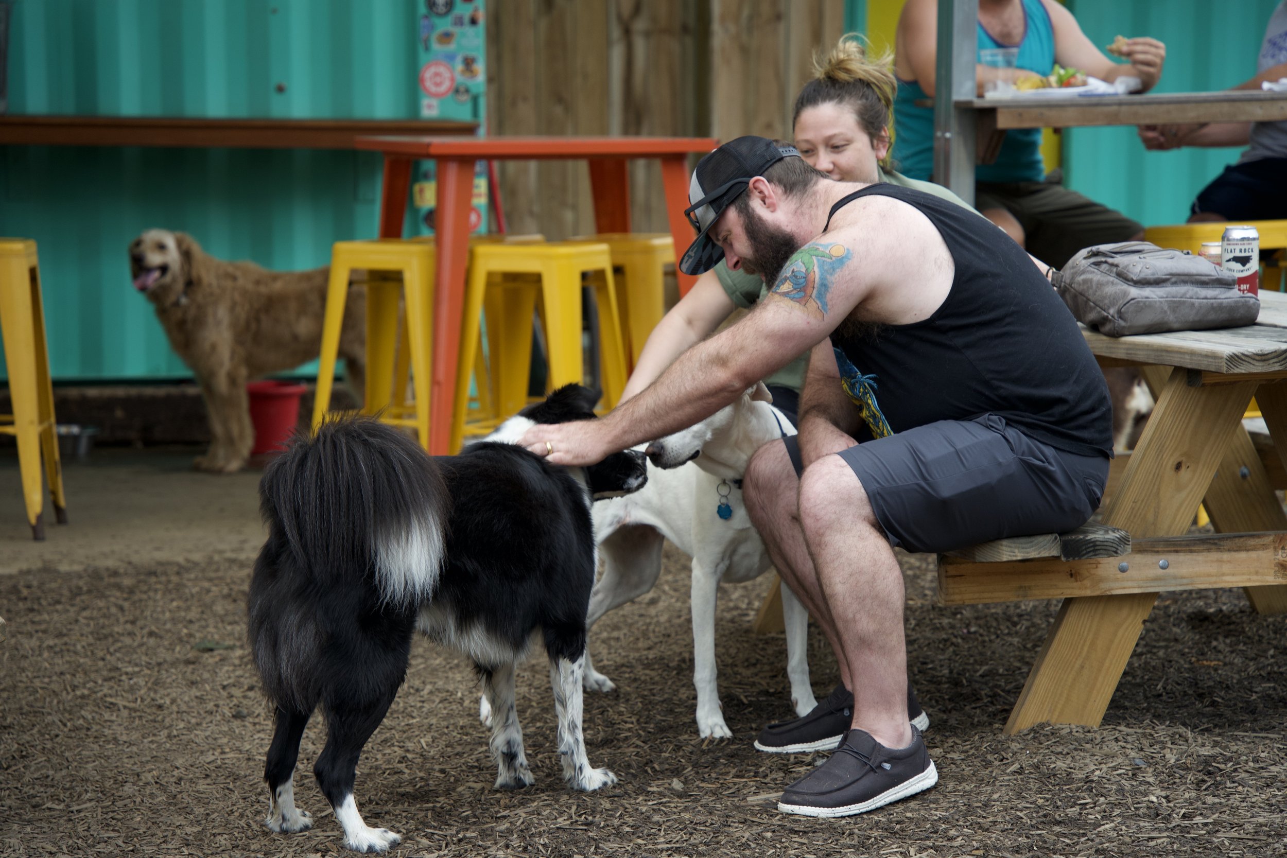 Bearded man in cap petting a black-and-white dog beside a white dog, with a golden dog and patrons at picnic tables behind