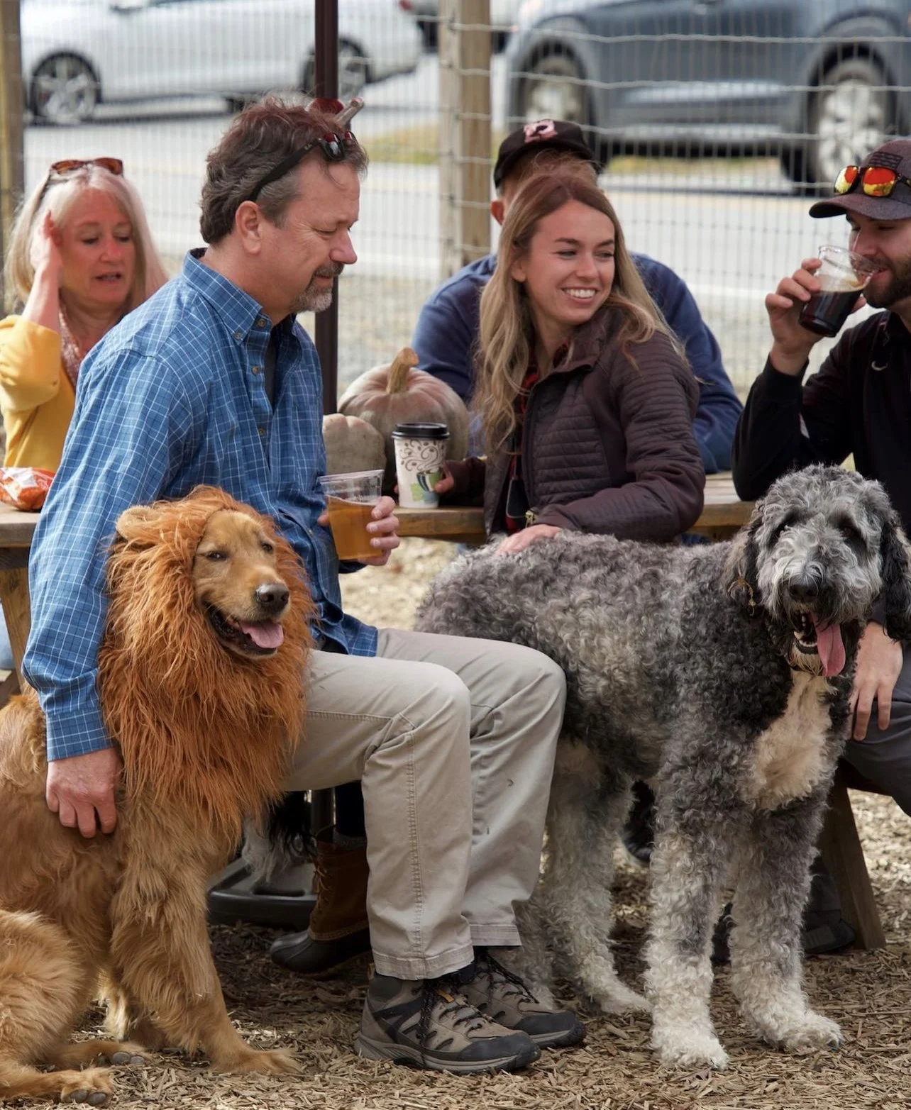 Man in plaid shirt with a golden retriever in a lion mane at a picnic table with friends and a gray doodle