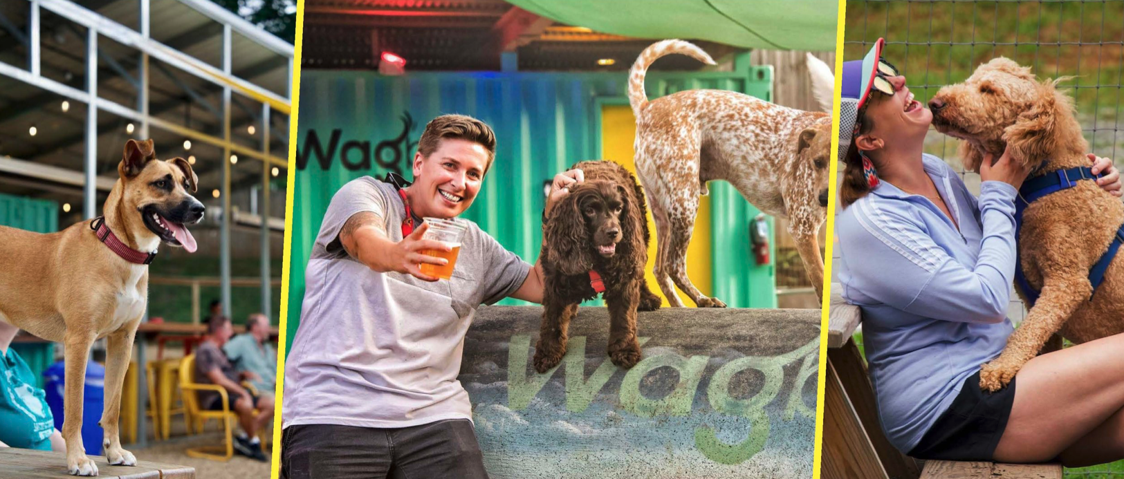 Three dog bar scenes: tan dog under lights, woman with beer, woman kissing a doodle